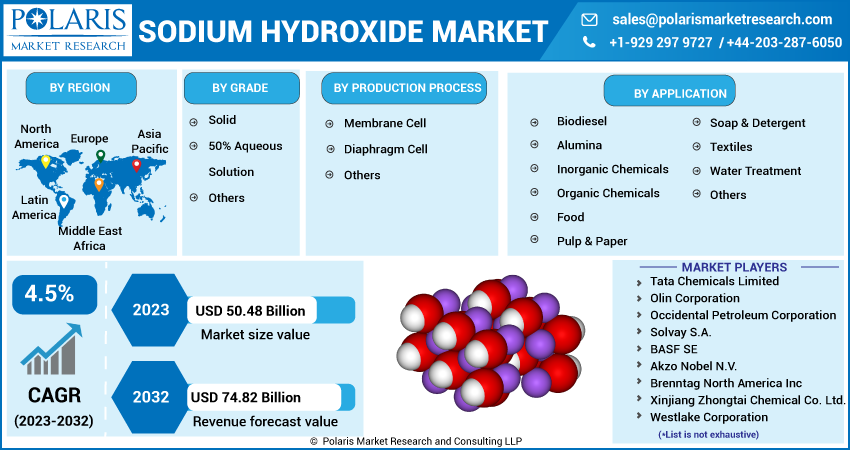 Sodium Hydroxide Market Share, Size
